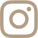 icon instagram